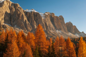 Sella, Val Gardena, Dolomites, Bolzano, Trentino - Alto Adige, Italy Sella, Val Gardena, Dolomites, Bolzano, Trentino - Alto Adige, Italy